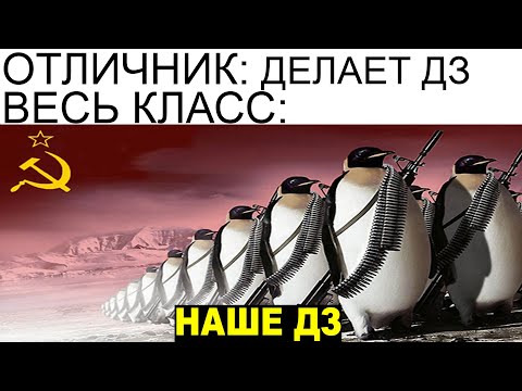 Видео: Школьные мемы 8