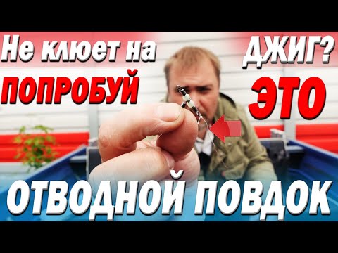 Видео: Не клюет на ДЖИГ? Попробуй ЭТО! Все ПОЛУЧИТСЯ! Отводной поводок. Как? Зачем? Когда?