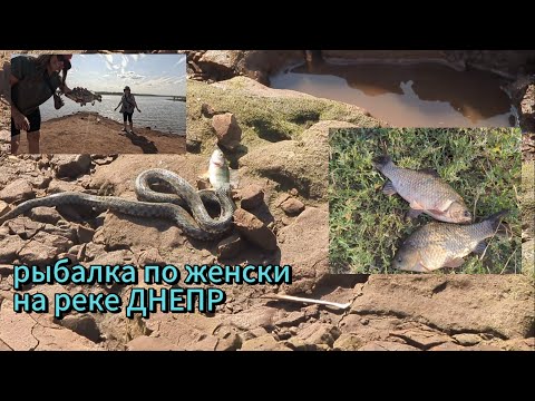 Видео: Рыбалка по женски на реке ДНЕПР, г. Запорожье 