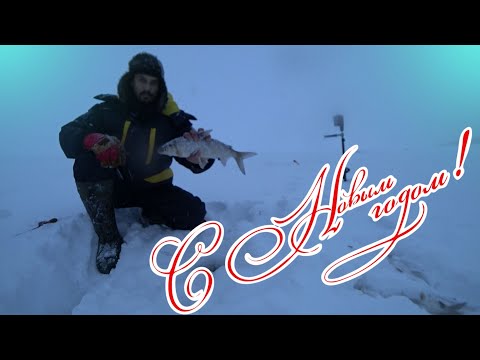 Видео: ПРАЗДНИК РЫБАКА! Отличный клёв в завершении года.