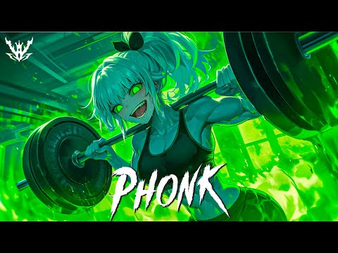 Видео: THE MOST INSANE PHONK MUSIC 2024 ※ BEST GYM MUSIC PLAYLIST [GYM, AGGRESSIVE, FUNK] ※ Фонка 2024 #005