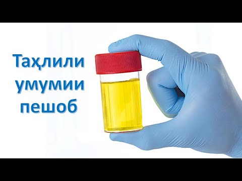 Видео: Тахлили умумии пешоб.  #Пешоб