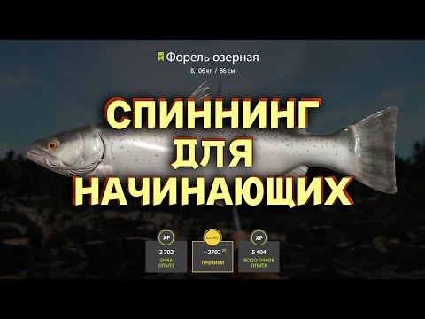 Видео: Русская Рыбалка 4 - Спиннинг для начинающих