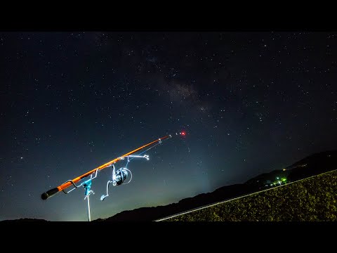 Видео: Маленькая набережная, ночная рыбалка, фантомная рыба