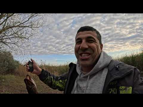 Видео: ЛОВИМ КРУПНЫХ ЩУК НА НОВОЙ ЛОКАЦИИ/СПИНИНГ В ДУГУ