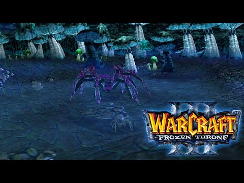 Видео: ЗОВ ПРИРОДЫ: КОРОЛЕВА ПАУКОВ! - ВОСХОЖДЕНИЕ! - Warcraft 3