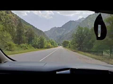 Видео: Жолдо Чычкан