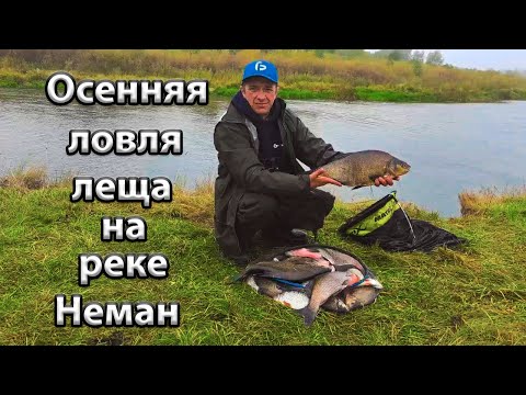 Видео: Осенняя  ловля леща  на реке.