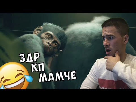 Видео: Роди Се Говореща Маймуна