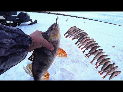 Видео: ПОСЛЕДНИЙ ЛЁД. Пять дней на таёжных озёрах ХМАО - Югры.
