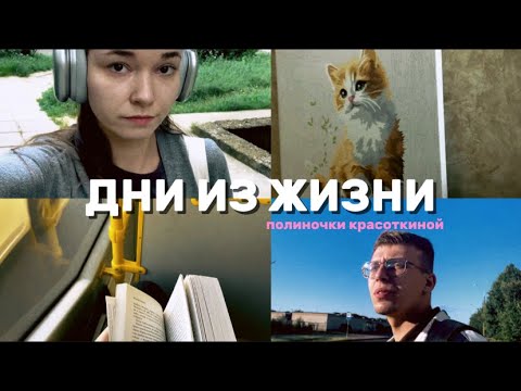 Видео: ДНИ ИЗ ЖИЗНИ. РАБОЧИЕ БУДНИ. УШЛА С ПОЧТЫ? #влог #рекомендации 