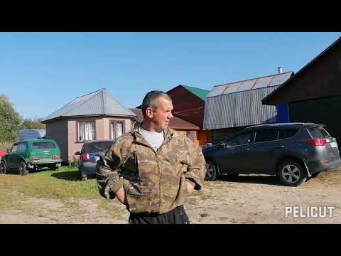 Видео: КОПАЕМ КАРТОШКУ.МТЗ-82.КОМБАЙН ANNA Z-644