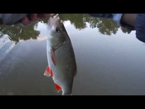 Видео: Речка будет остывать   рыба начнёт брать!