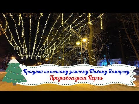 Видео: Ночная предновогодняя прогулка по Тихому Компросу города Перми