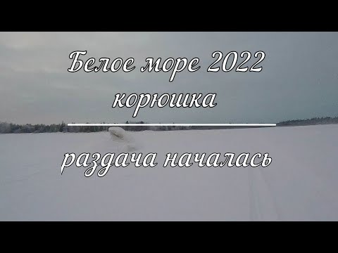 Видео: Рыбалка на Белом море 2022!Корюшка. Начало. Клёв начался, раздача пошла.