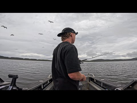 Видео: Это то время года
