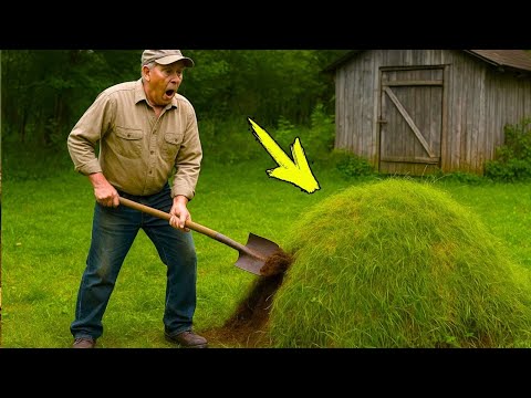 Видео: 10 лет он игнорировал странный холм возле сарая, а когда выкопал его, сразу же вызвал полицию