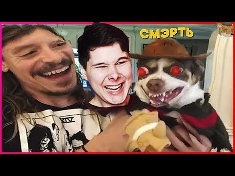 Видео: 741 СЕКУНДА СМЕХА - НЕ ЗАСМЕЙСЯ ЧЕЛЛЕНДЖ ЗАСМЕЯЛСЯ ПРОИГРАЛ