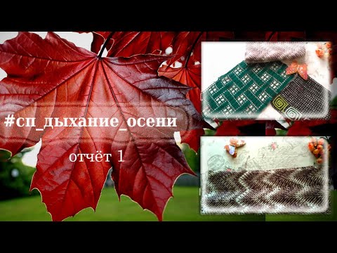 Видео: СП Дыхание осени / Отчёт 1 / Участник 31 #сп_дыхание_осени #сп_дыхание_осени_отчет1