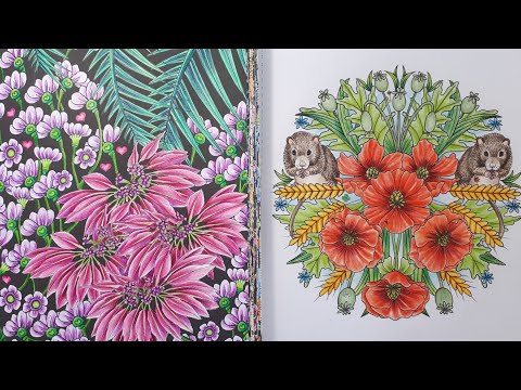 Видео: Июль 2022. Раскрашенные страницы