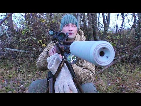 Видео: ОХОТА НОЧЬЮ С ЦИФРОВЫМ ПРИЦЕЛОМ Tube TD 50L / ОТЗЫВ ОХОТНИКА О НОЧНОМ ПРИЦЕЛЕ ОТ КОМПАНИИ iRay