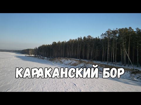 Видео: Зимний Караканский бор | Сибирь в снегу