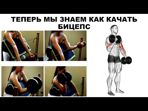 Видео: ТЕПЕРЬ МЫ ЗНАЕМ КАК КАЧАТЬ БИЦЕПС