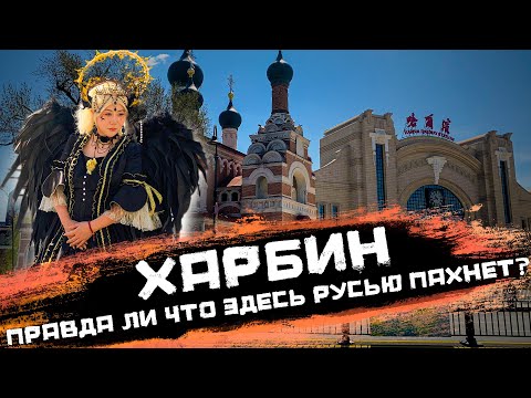 Видео: Харбин — единственное место в мире где русской культурой торгуют в магазинах