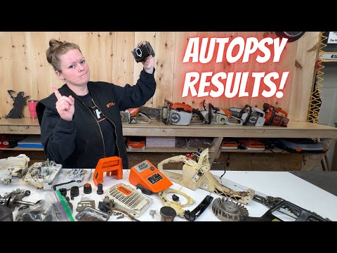 Видео: 33-летний Stihl 036: пора на пенсию? Или начать новую жизнь?