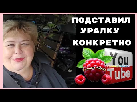 Видео: Ольга Уралочка /Подставил Уралку конкретно /Обзор /Ольга Уралочка live 