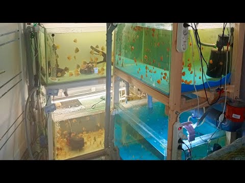 Видео: обзор мини разводни в квартире.