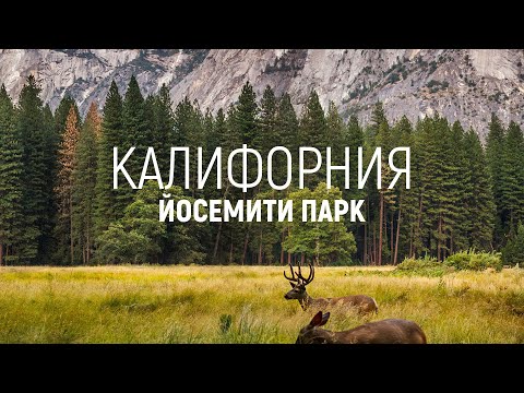 Видео: КАЛИФОРНИЯ. Еду в ЙОСЕМИТИ парк.