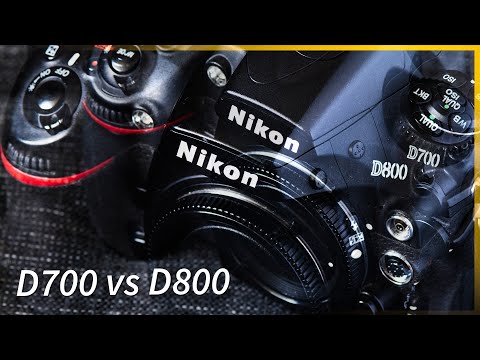 Видео: Nikon D700 против D800 — у какой камеры лучше цвета?