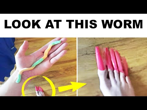 Видео: люди отвлекаются на детали