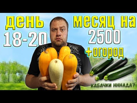 Видео: Месяц  2500 рублей  на еду + огород. День 18-20.
