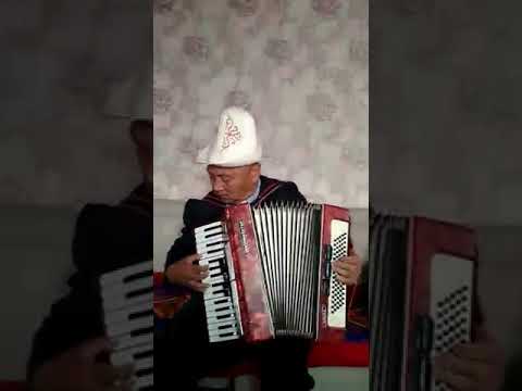 Видео: Когучконум автор Мирбек Текебаев Акардион
