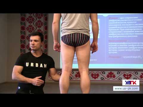 Видео: Мышечные цепи нижней конечности. Отрывок из семинара УАПК.