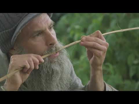 Видео: Крапива для производства ткани (русcкие субтитры)