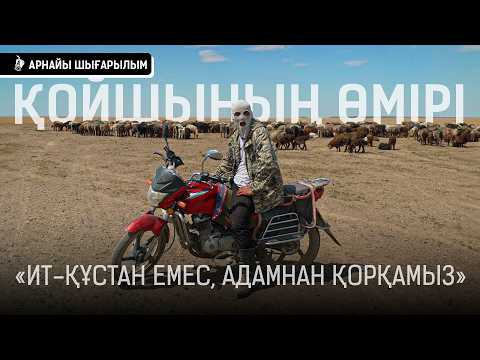 Видео: «Жердің көбісін жоғары жақтағылар алып қойған. Сақпан уақытында бір-бірімізді жақтырмаймыз». | Қойшы
