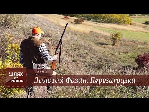 Видео: Золотой Фазан. Перезагрузка [Шлях до Трофею №12]