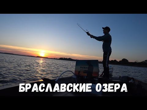 Видео: Браславские озера! Отдых и рыбалка на усадьбе!