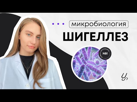 Видео: Микробиология | Шигеллез | Shigella spp.