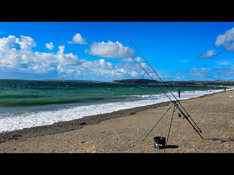 Видео: От миниатюрных видов до монстров | Морская рыбалка в Северном Уэльсе