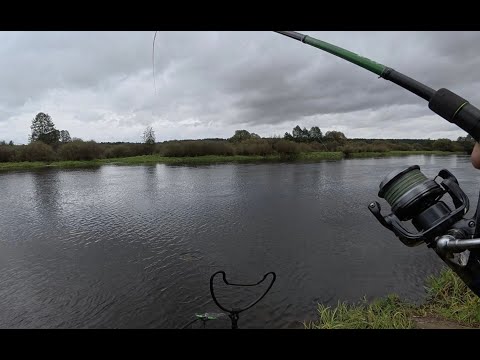 Видео: Где-то на Березине