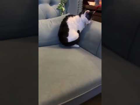 Видео: Самый правильный круг
