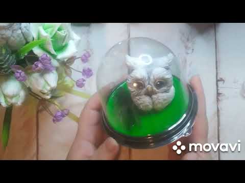 Видео: Отчёт лета по с. п.,, Бинго 2025🤗