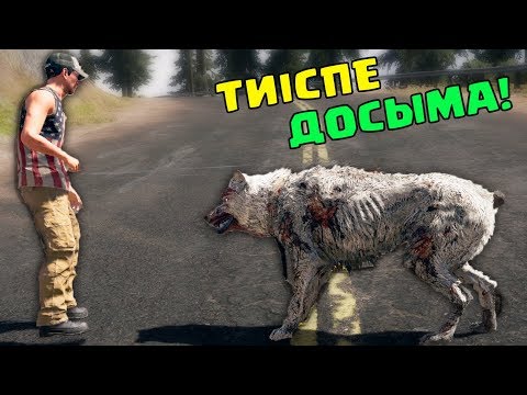 Видео: Орманда адасқандар (Жаңа кино)