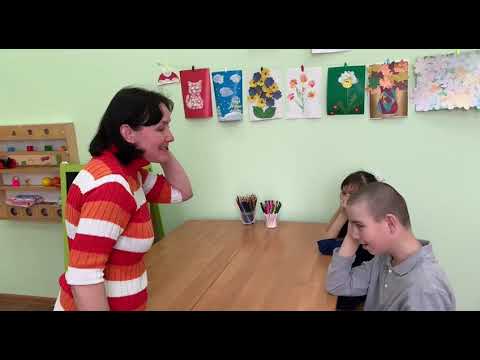 Видео: Открытое занятие учителя-дефектолога Каменщиковой Натальи Михайловны  по теме: "Насекомые"