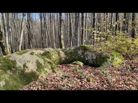 Видео: Видео 106 - Самый "северный" дольмен скальный полумонолит (Хребтовое)