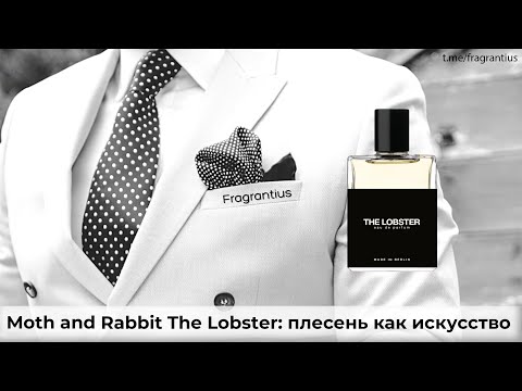 Видео: Moth and Rabbit The Lobster: плесень как искусство